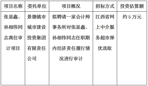 張顯鑫、孫相偉同志離任審計項目計劃公告