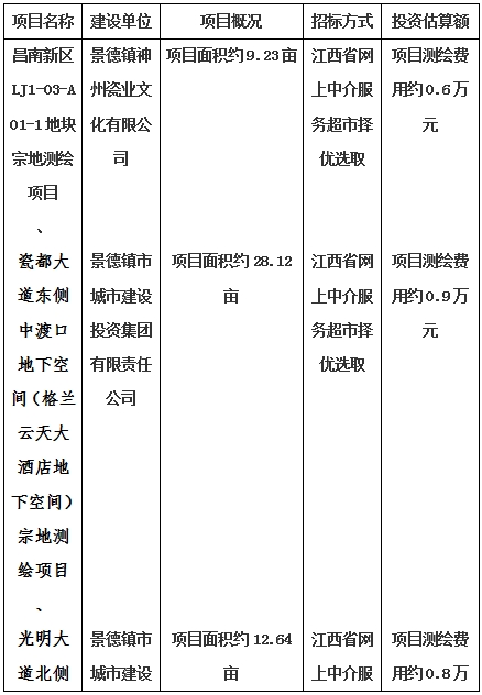 景德鎮(zhèn)市昌南新區(qū)LJ1-03-A01-1地塊、瓷都大道東側(cè)中渡口地下空間（格蘭云天大酒店地下空間）、光明大道北側(cè)利民路西側(cè)地下空間（青少年宮地下空間）、規(guī)劃二路北側(cè)地下空間地塊二（加速基地地下空間）、規(guī)劃二路北側(cè)地下空間地塊一（加速基地地下空間）、景德大道南側(cè)天寶橋西側(cè)地塊、景興大道東側(cè)如意路北側(cè)地下空間(社會(huì)公共服務(wù)