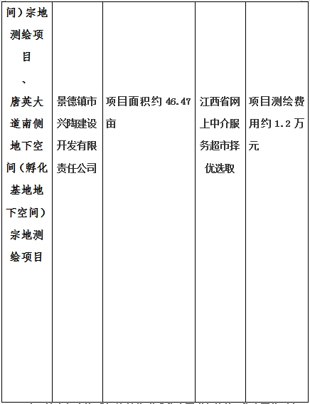 景德鎮(zhèn)市昌南新區(qū)LJ1-03-A01-1地塊、瓷都大道東側(cè)中渡口地下空間（格蘭云天大酒店地下空間）、光明大道北側(cè)利民路西側(cè)地下空間（青少年宮地下空間）、規(guī)劃二路北側(cè)地下空間地塊二（加速基地地下空間）、規(guī)劃二路北側(cè)地下空間地塊一（加速基地地下空間）、景德大道南側(cè)天寶橋西側(cè)地塊、景興大道東側(cè)如意路北側(cè)地下空間(社會(huì)公共服務(wù)