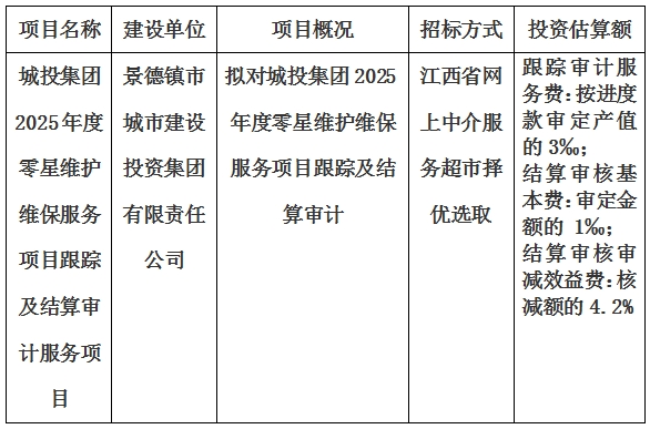 城投集團2025年度零星維護維保服務項目跟蹤及結(jié)算審計服務項目計劃公告